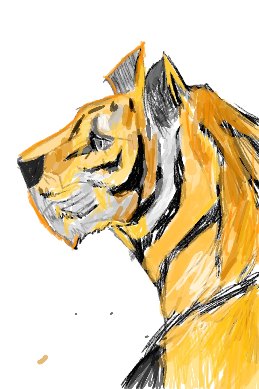 tiger I learnt to draw